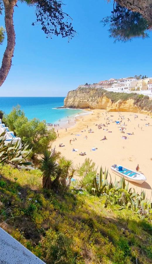 Praia Da Rocha Summer Beach Sea View 波尔蒂芒 外观 照片